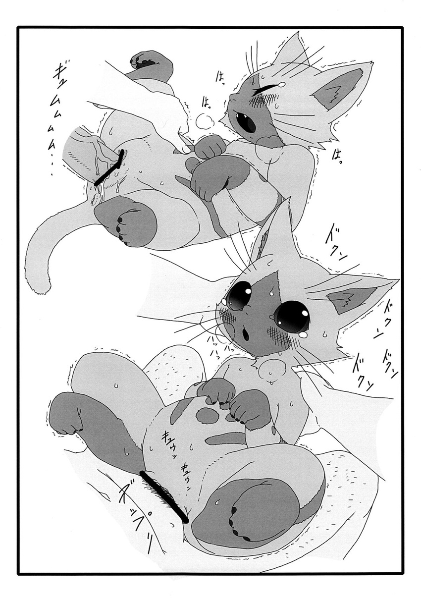 Amakuchi E621