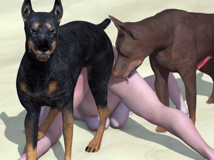 3d bestiality breasts canine canis3 doberman dog female feral forced human ...