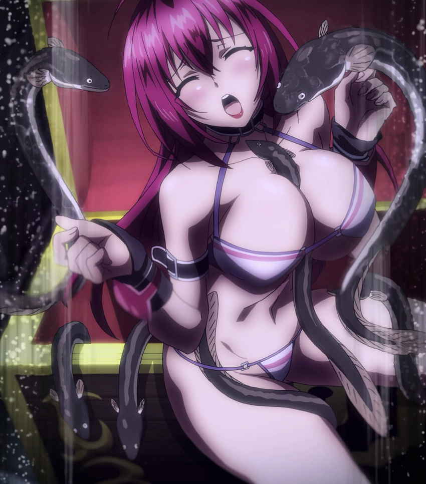 Bikini Warrior Hentai
