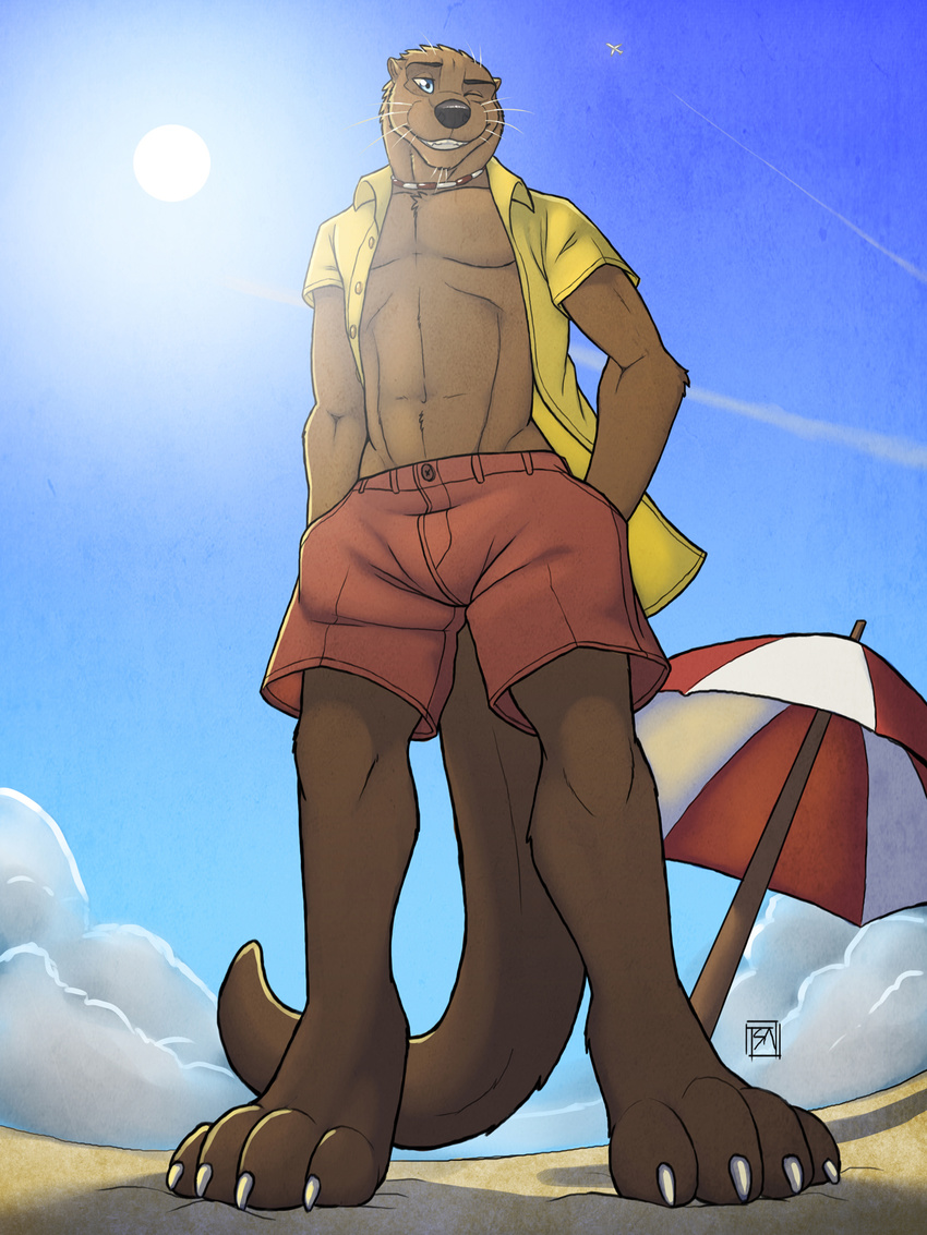 Otter furry. Фурри выдра. Выдра парень. Фурри выдра парень. Фурри выдра самец