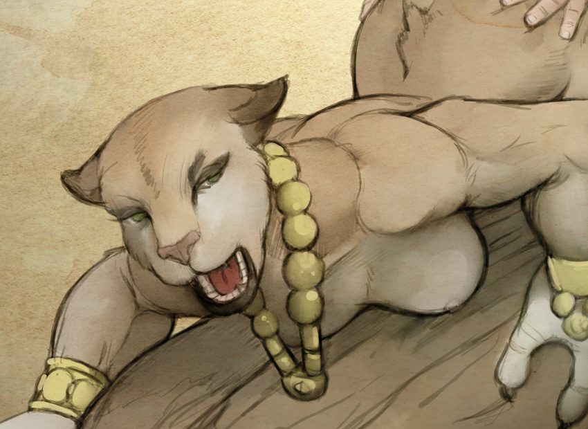 E Hentai Hattonslayden