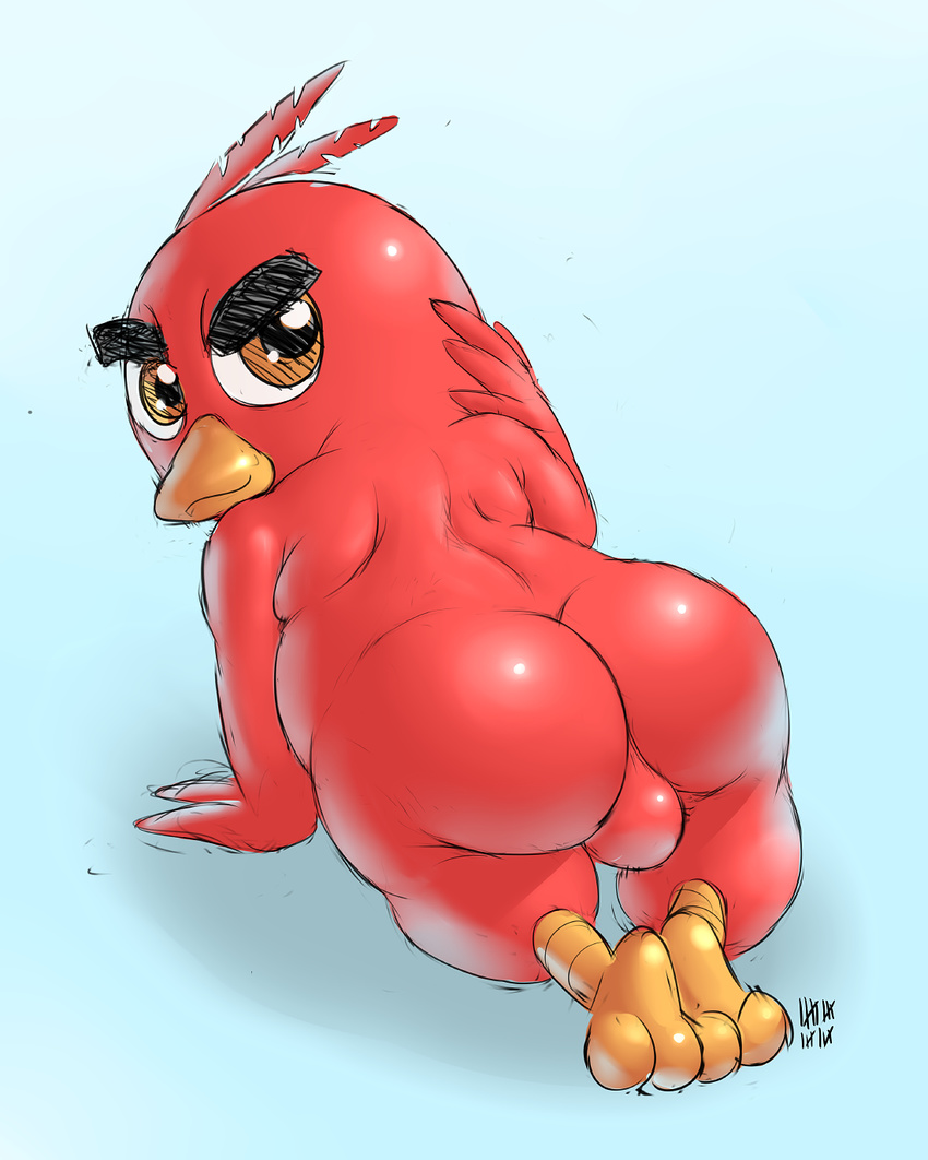 angry_birds avian balls big_butt brown_eyes butt feathers ikiki looking_at_...