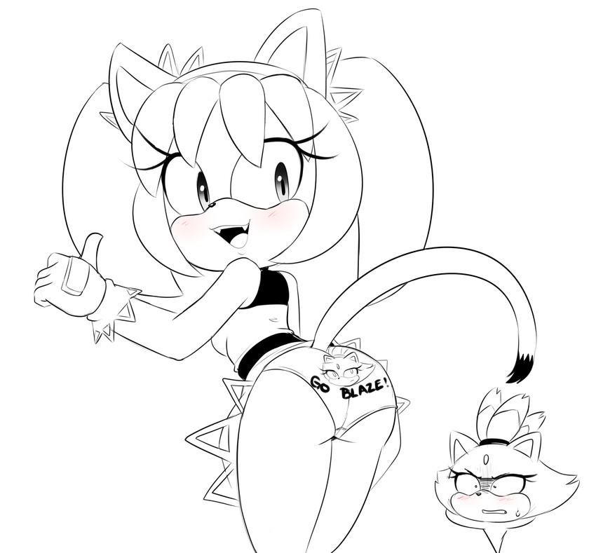 Honey The Cat Hentai