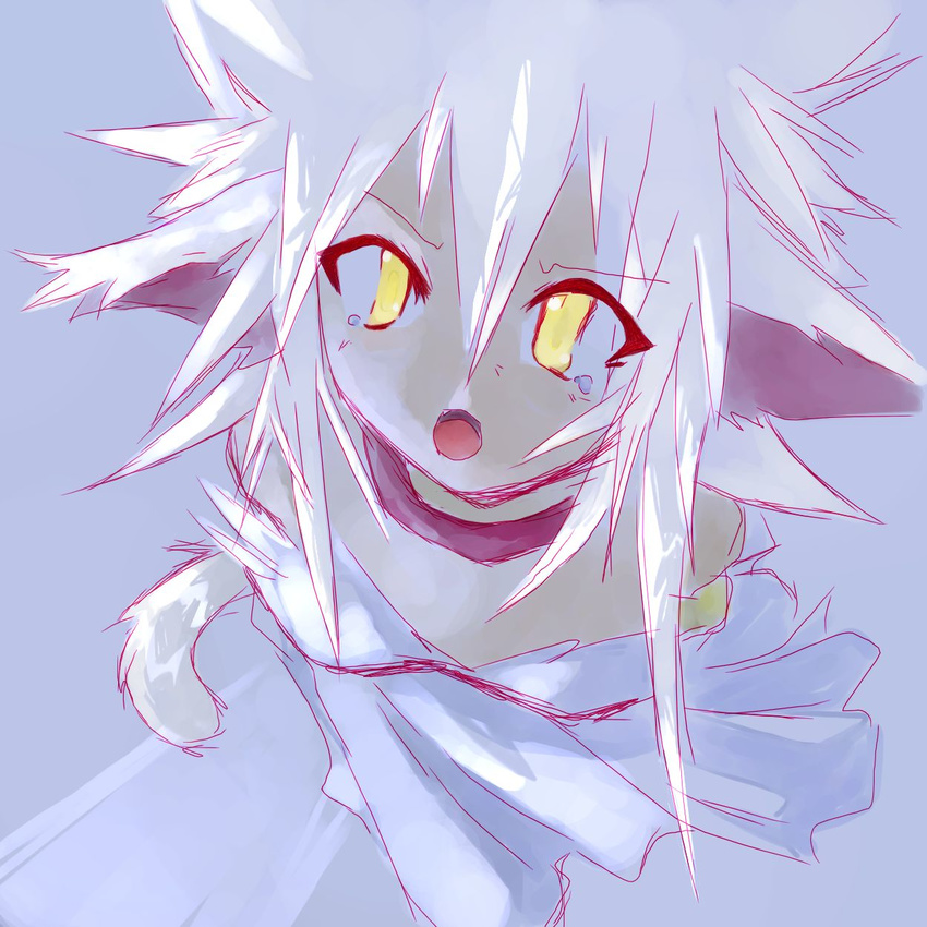 The Big ImageBoard (TBIB) amber eyes animal ears cat ears collar