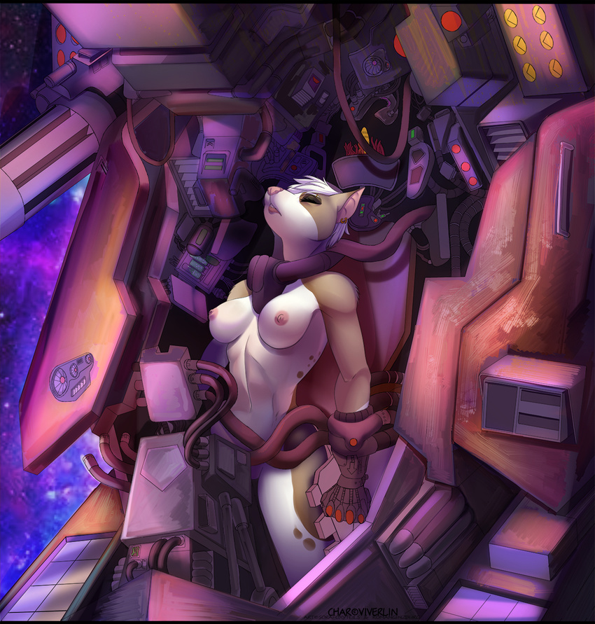 Mecha Porn