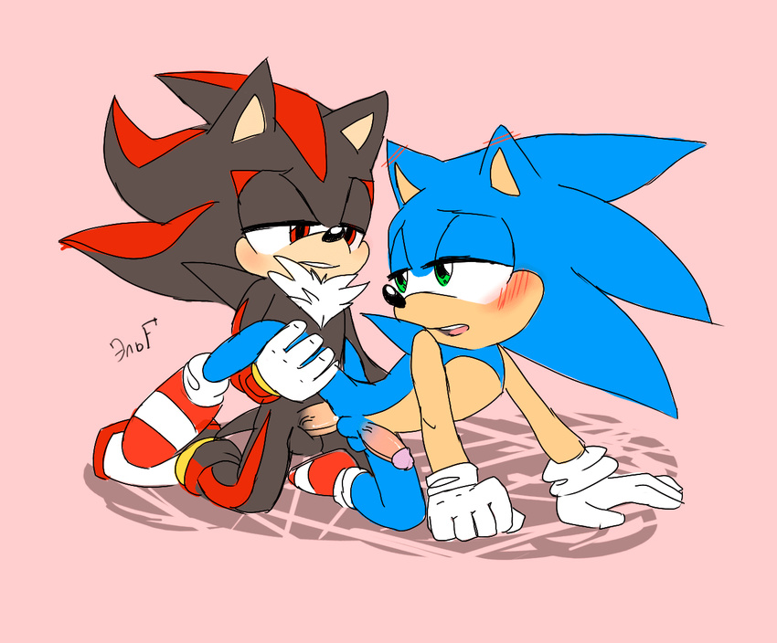 Gay sonic the hedgehog picture