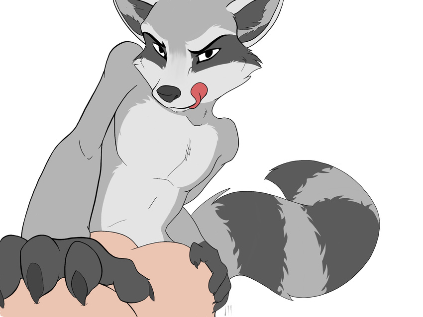 Rocket Raccoon Hentai