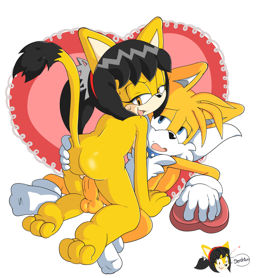 ...anthro balls black_hair blush breasts butt canine duo erection female fo...