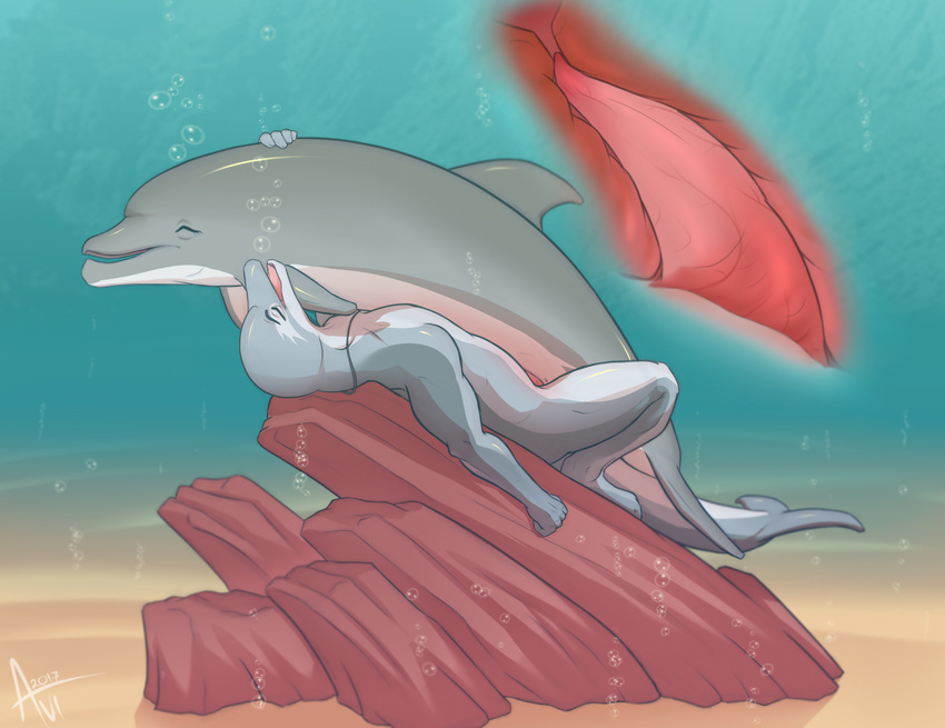 anthro anthro_on_feral avilon bestiality bubble cetacean dolphin female fer...