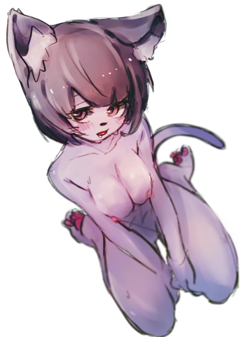 Furry Cat Girl Hentai