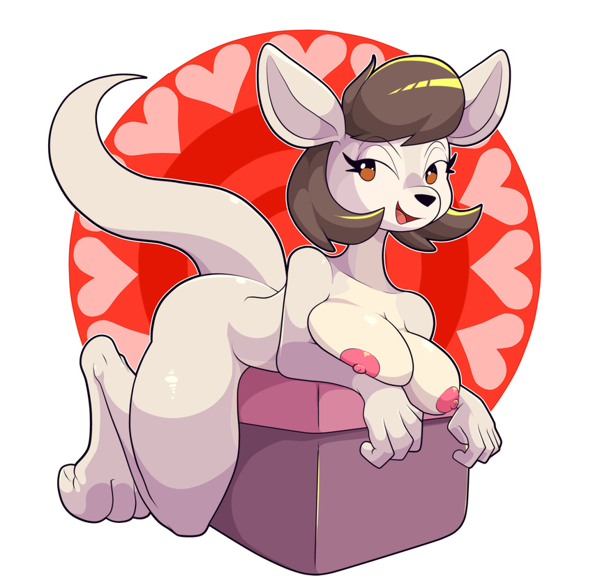 Kangaroo Hentai