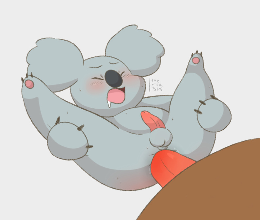 anal anal_penetration balls bear cartoon_network duo eyes_closed grizzly(wb...
