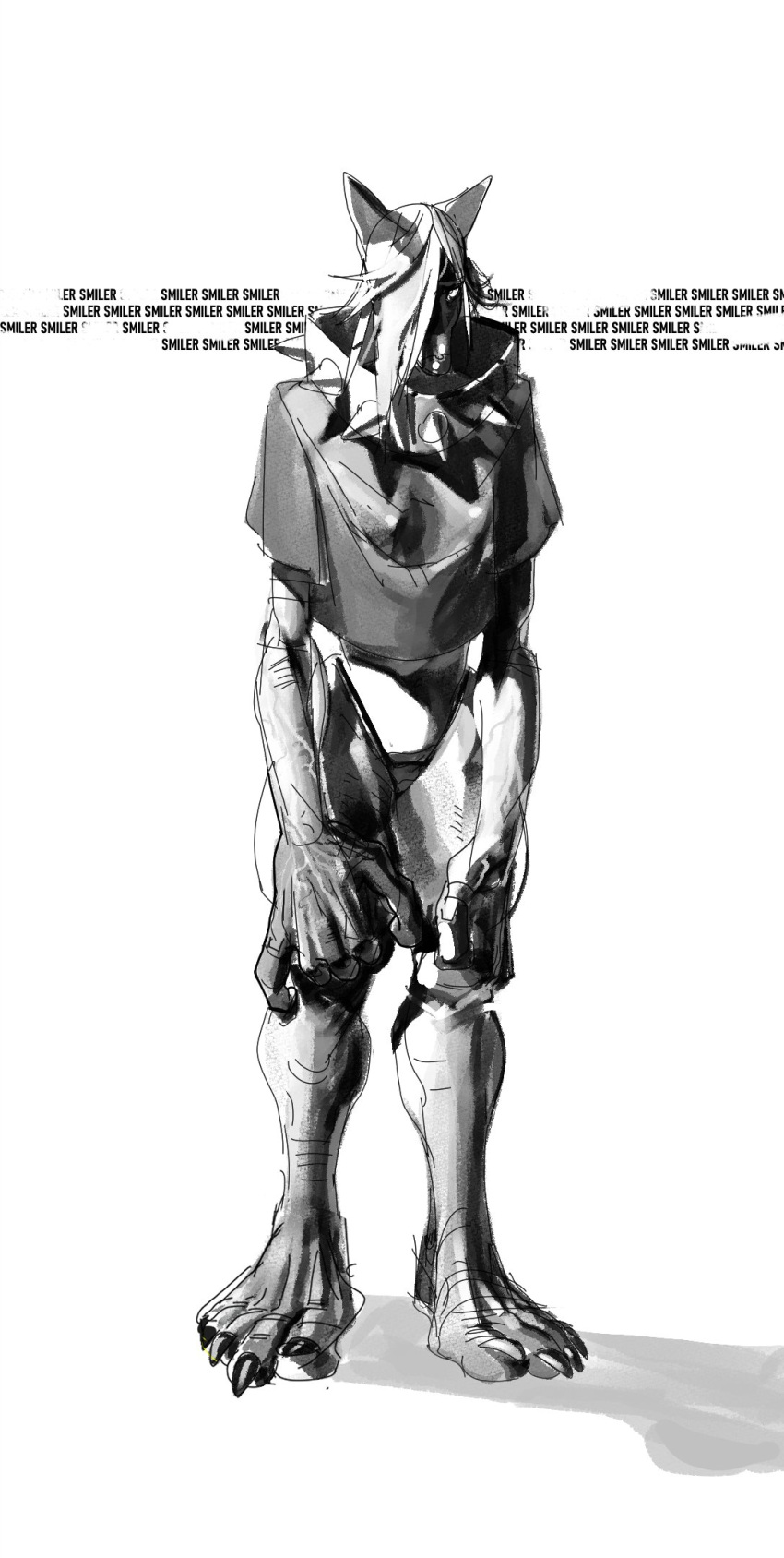 The Big ImageBoard (TBIB) - 2024 5 fingers 5 toes anthro athletic ...