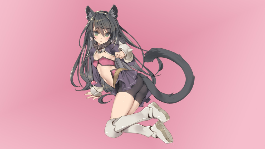 Anime neko wallpaper