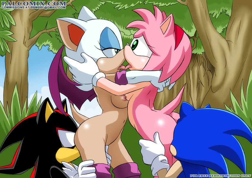 amy_rose bbmbbf palcomix rouge_the_bat sega shadow_the_hedgehog sonic_team ...