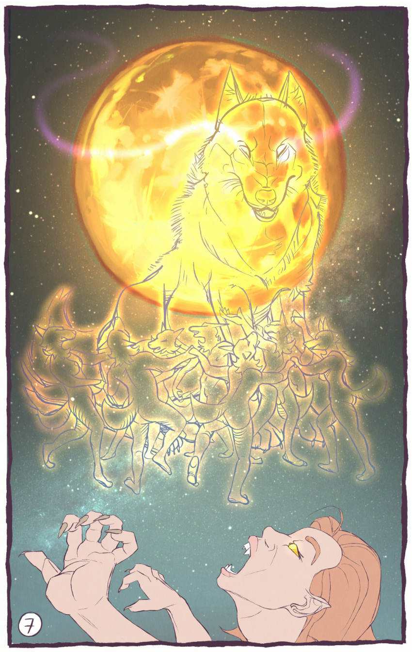 The Big ImageBoard (TBIB) - anthro border canid canine canis ...