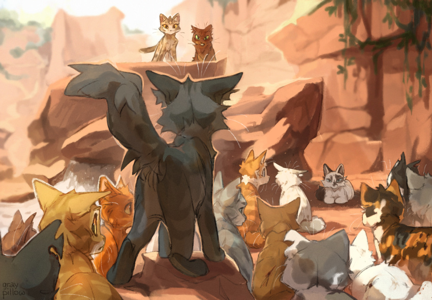 The Big ImageBoard (TBIB) - animal animal focus blossomheart brown cat ...