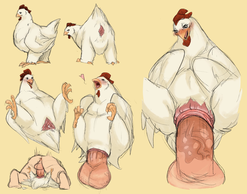 Nude Chicken Cartoons - Chicken Fuck Cartoon | Sex Pictures Pass