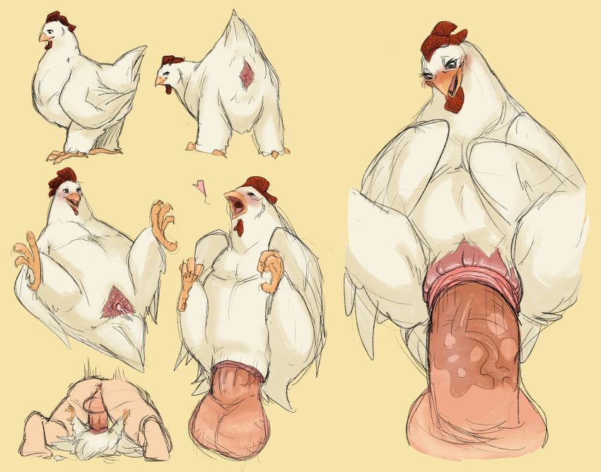 850px x 667px - Chicken Fuck Cartoon | Sex Pictures Pass