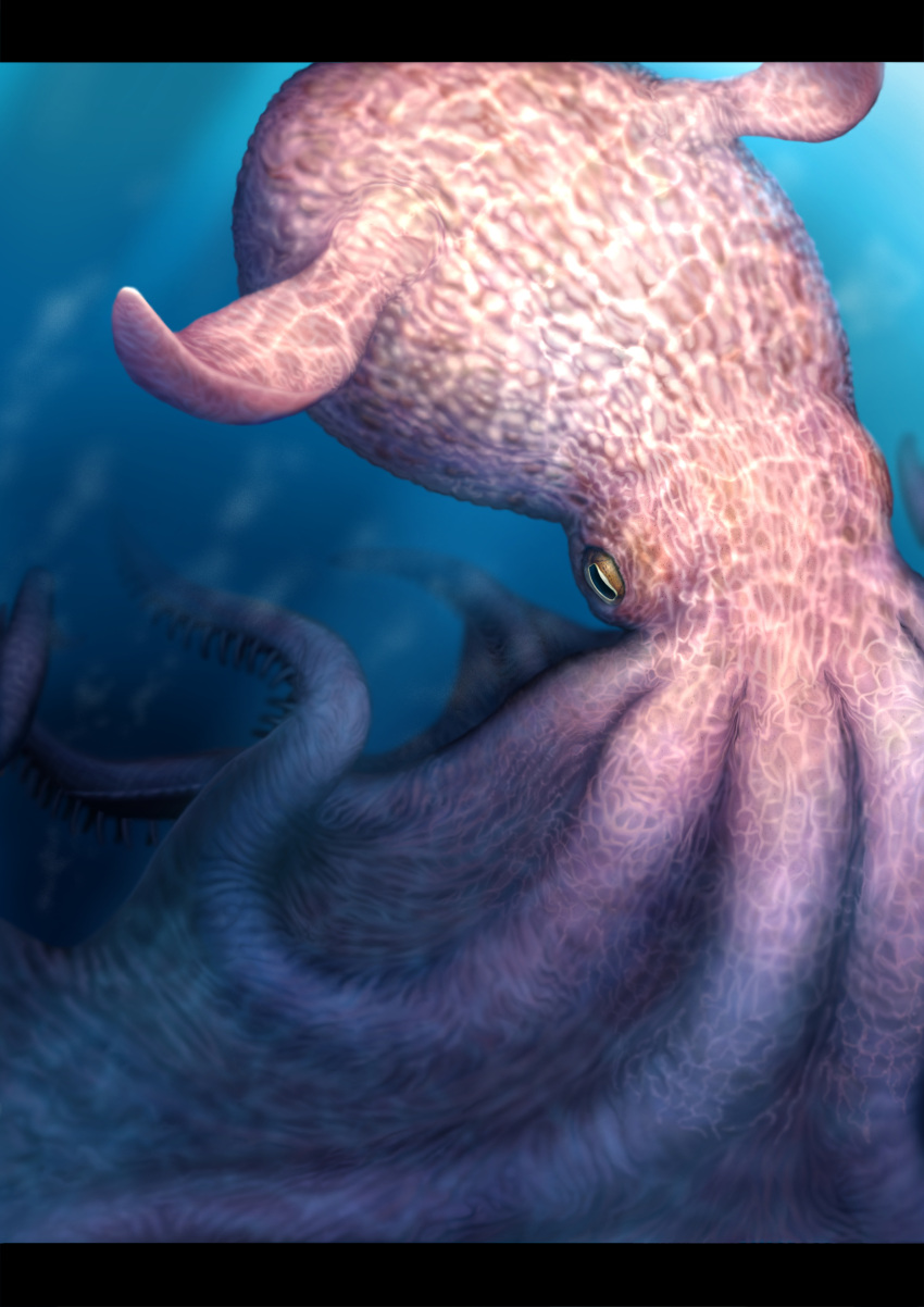 The Big ImageBoard (TBIB) - absurdres animal animal focus commentary ...