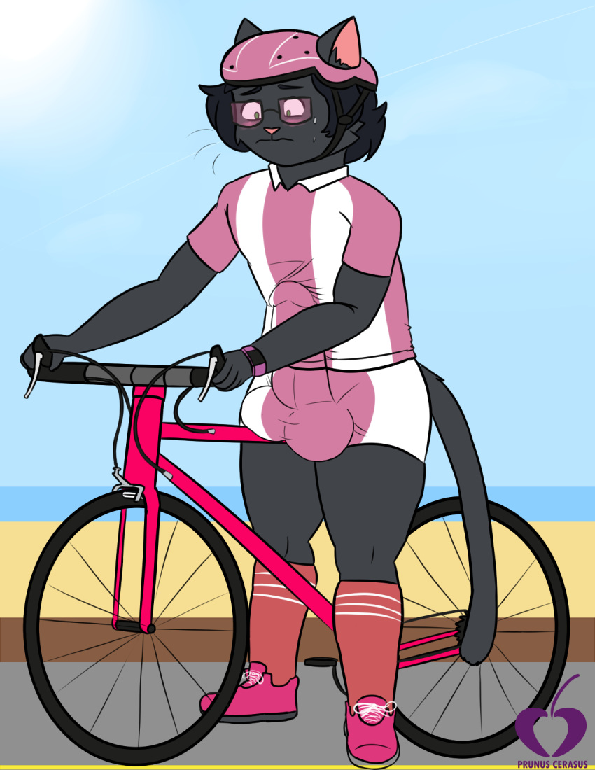 anthro beach bicycle big_penis bike(disambiguation) blush clothed clothing ...