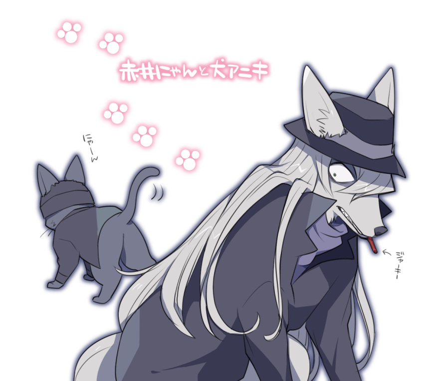 The Big ImageBoard (TBIB) 2016 canid canine duo felid feline