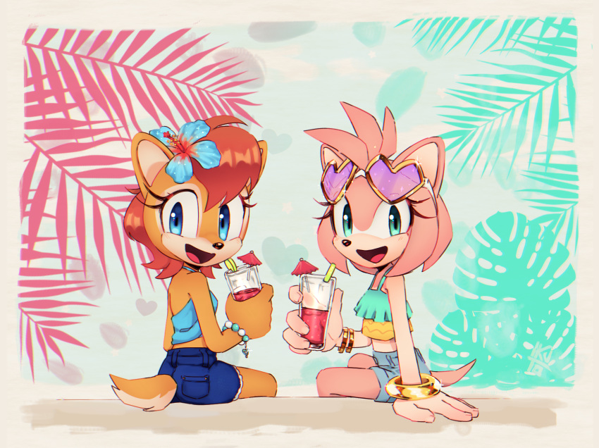 The Big Imageboard Tbib 2019 Accessory Amy Rose Anthro Archie