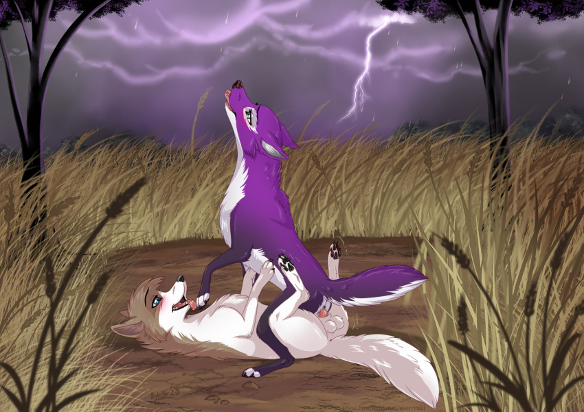 Rukifox Hentai