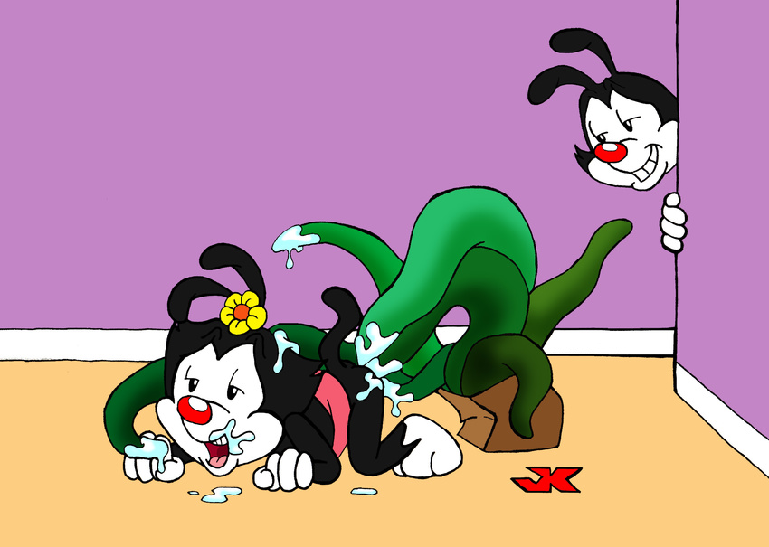 Animaniacs Nurse Hentai