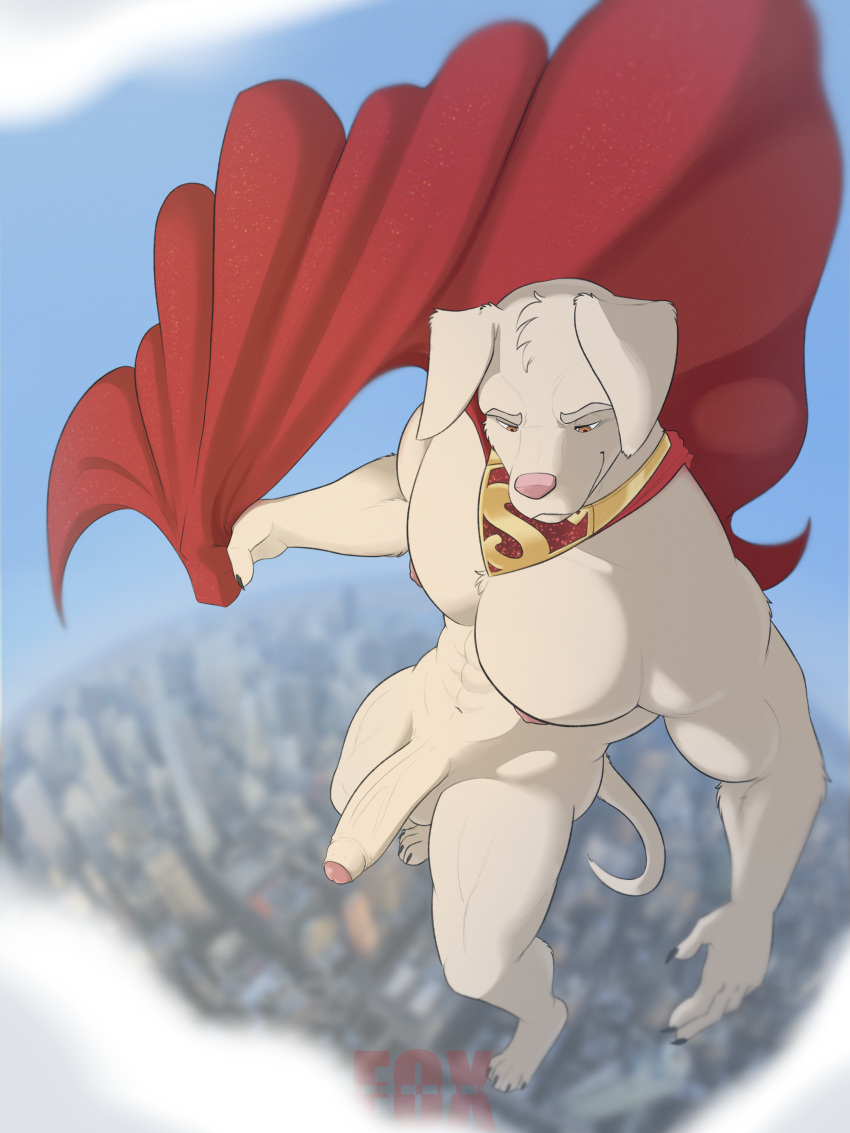 Krypto The Superdog Hentai