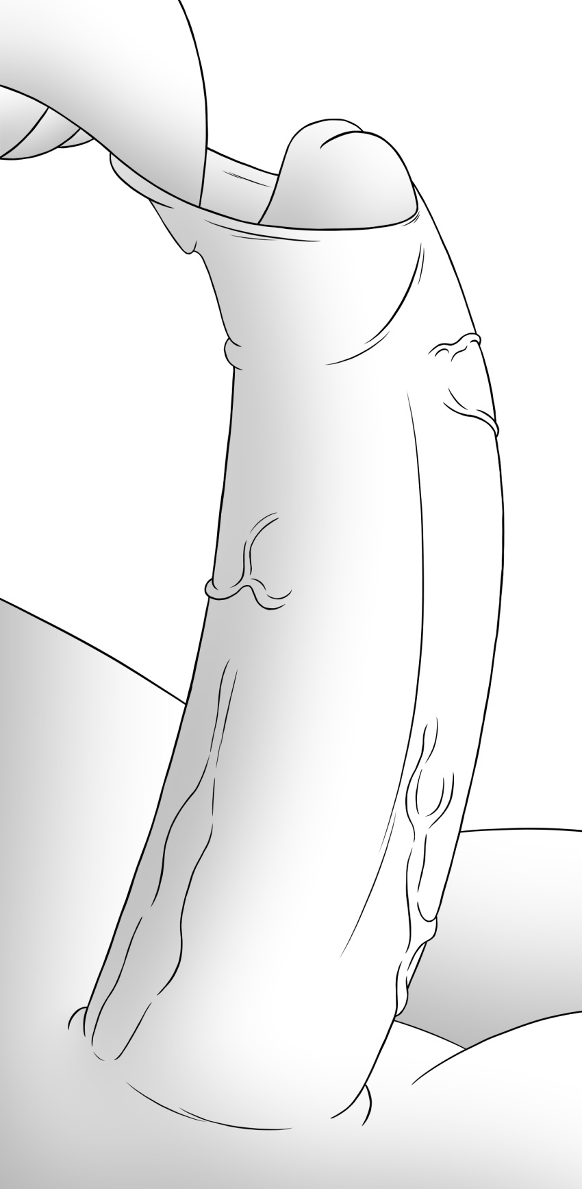 No Drawing Penis