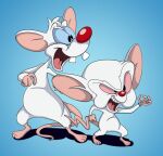 anthro buckteeth duo male mammal mouse murid murine open_mouth pinky_(warner_brothers) pinky_and_the_brain rodent scottforester17 simple_background teeth the_brain warner_brothers