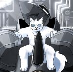 aircraft animal_genitalia anthro balls big_penis blue_eyes blush canid canine canis dire_machine duo erection eyewear f-22 fluffy fur genital_slit genitals glasses grey_body hi_res huge_penis hyper hyper_genitalia hyper_penis iv_(ivxair3p) ivxair3p living_aircraft living_machine living_vehicle looking_at_genitalia looking_at_penis machine male male/male mammal on_lap penis slit vehicle white_body white_fur wolf