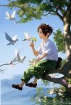  1boy aged_down animal bird black_hair blush branch cape dajingyuo day flower forest freckles full_body geta green_cape highres in_tree leaf male_focus nature one_piece outdoors pink_flower portgas_d._ace shirt shoes sitting sitting_in_tree sitting_on_branch sky smile solo sunlight tree white_bird 