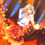  adapted_costume aki_shizuha autumn blonde_hair hair_ornament leaf leaf_hair_ornament looking_at_viewer magic maple_leaf saemon_(tonpura) shirt short_hair smile solo touhou tree yellow_eyes 