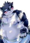 anthro belly blush canid canine canis domestic_dog embarrassed eyebrows hi_res kusarikakemono lifewonders male mammal moritaka musclegut nipples offering_hand pawpads pecs scar solo steam thick_eyebrows tokyo_afterschool_summoners towel video_games 
