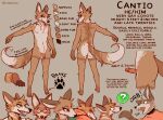  anthro artist_name balls barefoot brown_pawpads butt canid canine canis cantio_(lawyerdog) character_name clothed clothing coyote digital_media_(artwork) english_text feet flaccid genitals glans grey_background hi_res hindpaw humanoid_genitalia humanoid_penis lawyerdog male mammal model_sheet nipples nude open_mouth pawpads paws penis pink_penis simple_background solo text 