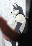 anthro backpack black_nose blue_eyes blush blush_lines bodily_fluids bottomwear canid canine canis clothing domestic_dog erection foreground_silhouette genitals hi_res humanoid_genitalia husky kemono looking_at_another male male/male mammal nagick_18 nordic_sled_dog pants penis pointy_ears shirt side_eye solo_focus spitz sweat sweatdrop t-shirt throbbing throbbing_penis topwear urinal urinal_peeking