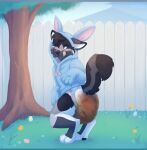 abdl abuniverse anthro applepup black_body black_fur black_nose blush bunnyhopps bunnyhopps_(diaper) canid canine clothing diaper digital_drawing_(artwork) digital_media_(artwork) digitigrade feces fur grass grey_body grey_fur hi_res hoodie looking_back male mammal one_eye_closed outside plant soiled_diaper solo standing tail tongue tongue_out topwear unclean_diaper used_diaper