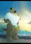  2022 anthro beach brown_body bulge canid canine canis clothing cloud detailed_background domestic_dog humanoid_hands kemono lifewonders male mammal musclegut natsuhakoura outside scar seaside solo tokyo_afterschool_summoners underwear video_games water yasuyori 