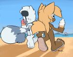  0r0ch1 anthro beach bikini blush brown_body brown_fur canid canine canis clothing dessert duo feet female female/female food footwear fur hair hand_holding honeydew_(artist) ice_cream idw_publishing lemur mammal primate sandals seaside sega smile sonic_the_hedgehog_(comics) sonic_the_hedgehog_(idw) sonic_the_hedgehog_(series) strepsirrhine swimwear tan_hair tangle_the_lemur toes walking water waterside whisper_the_wolf wolf 