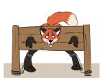 alphonse_(chilemeister) anthro bent_over black_body black_fur black_markings canid canine canis chain chilemeister cuff_(restraint) digital_media_(artwork) fox fur hi_res looking_at_viewer male mammal markings multicolored_body open_mouth orange_body orange_fur red_fox restrained restraints shackles simple_background solo stocks tail true_fox white_body white_fur