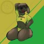 1:1 anthro bikini bikini_bottom brazilian_flag brown_body brown_fur canid canine clothing front_view fur hi_res male mammal rabbityon shirt sitting sitting_on_ground solo solo_focus swimwear topwear two-piece_swimsuit yellow_clothing yellow_shirt yellow_topwear