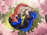 4:3 belly_up blue_body capcom cherry_blossom cherry_blossom_tree cherry_tree courtship dead.akira dragon eastern_dragon flower fluffy_tails fruit_tree fur grass_field grooming_tails hi_res laying_on_grass leviathan_(mh) licking mizutsune monster_hunter mythological_creature mythological_scalie mythology noogle personal_grooming plant prunus_(flower) red_body scales scalie tales tongue tree view_from_above
