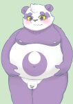  2022 absurd_res alp_(tas) anthro ayata belly big_belly blush censored flaccid genitals giant_panda hi_res humanoid_genitalia humanoid_hands humanoid_penis kemono lifewonders male mammal moobs navel nipples overweight overweight_male penis purple_body solo tokyo_afterschool_summoners ursid video_games white_body young 