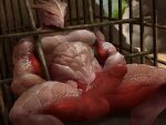 4:3 abs absurd_res anthro baldur&#039;s_gate baldur&#039;s_gate_3 balls bamboo biceps bioware cage caged censored claws digital_drawing_(artwork) digital_media_(artwork) dragonborn_(dnd) dungeons_and_dragons electronic_arts erection genitals glans hasbro hi_res horn humanoid_genitalia humanoid_penis larian_studios male muscular muscular_anthro muscular_male muscular_thighs nude pecs penis red_eyes saury_(artist) scales scalie solo text the_dark_urge_(baldur&#039;s_gate) triceps url white_body white_scales wizards_of_the_coast