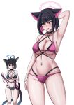  2girls anger_vein animal_ears arm_up armpits arms_behind_head bakeneko bikini black_choker black_hair black_tail blue_archive blue_bikini blue_halo blue_tail blush breasts cameltoe cat_ears cat_girl cat_tail choker colored_inner_animal_ears colored_inner_hair cosplay criss-cross_straps drie gradient_tail halo highres holding holding_rope kazusa_(blue_archive) kikyou_(blue_archive) kikyou_(blue_archive)_(cosplay) kikyou_(swimsuit)_(blue_archive) layered_bikini looking_at_another looking_at_viewer medium_breasts multicolored_hair multiple_girls multiple_tails navel official_alternate_costume pink_bikini pink_eyes pink_hair pink_halo rope short_hair smile swimsuit tail tongue tongue_out two-tone_hair two_tails 