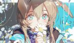  1girl amiya_(arknights) animal_ear_fluff animal_ears arknights black_coat blue_background blue_eyes blue_sweater border brown_hair chinese_commentary coat collared_coat commentary_request covered_mouth daisy_(flower) dated dot_nose eyelashes flower flower_to_mouth hair_between_eyes highres holding holding_flower kitakawayui letterboxed light_blush light_particles long_hair looking_at_viewer open_clothes open_coat outside_border rabbit_ears shadow sidelocks solo sweater upper_body white_border white_flower 