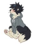 anthro black_body black_fur black_hair blush border_collie canid canine canis clothed clothing collie domestic_dog floppy_ears fur grey_clothing grey_hoodie grey_topwear hair herding_dog hi_res hoodie kaden_(princelykaden) male mammal narrowed_eyes pastoral_dog princelykaden sheepdog short_hair side_view simple_background sitting solo topwear white_background white_body white_fur yellow_eyes