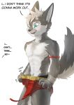  boxers_(clothing) canid canine canis clothing english_text fur gem green_eyes grey_body grey_fur hi_res male mammal muscular nipples solo stampmats text underwear wolf 